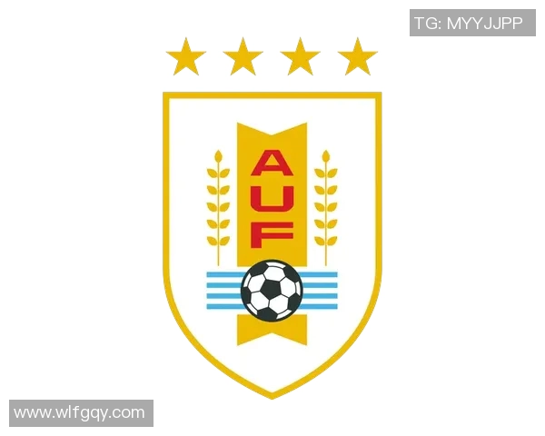 埃及与乌拉圭足球阵容对比分析揭示两队实力差异与战术特点